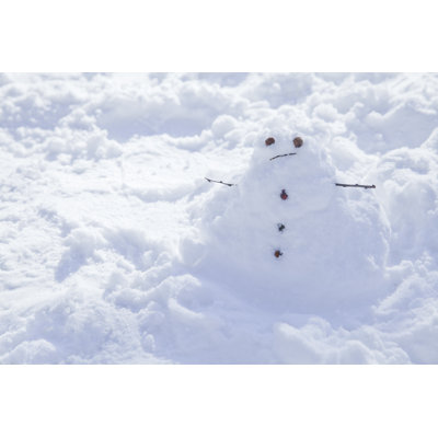 Snow Creation - Wrapped Canvas Print