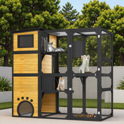 Outdoor Cat House With Platforms And Resting Rooms