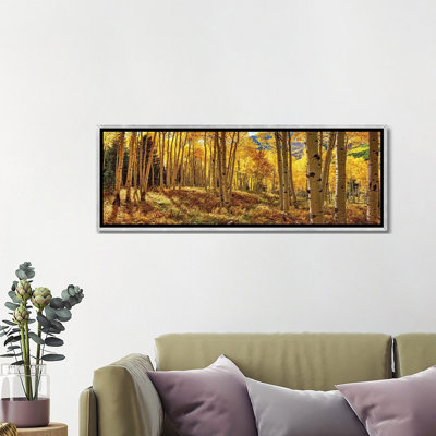 " Autumn Aspen Colorado Forest Panorama "