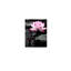 Reproduction sur toile noire et rose, impression sur toile Zen Flowe, cadre en bois massif, image murale, 16 po x 24 po