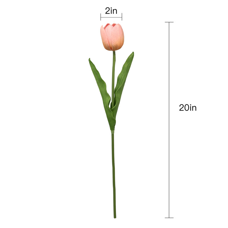 Tiges de tulipes, Rose