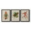 Elegant Tropicals IV - Ensemble de 3 peintures sur toile encadrées-1823053511-1823053508