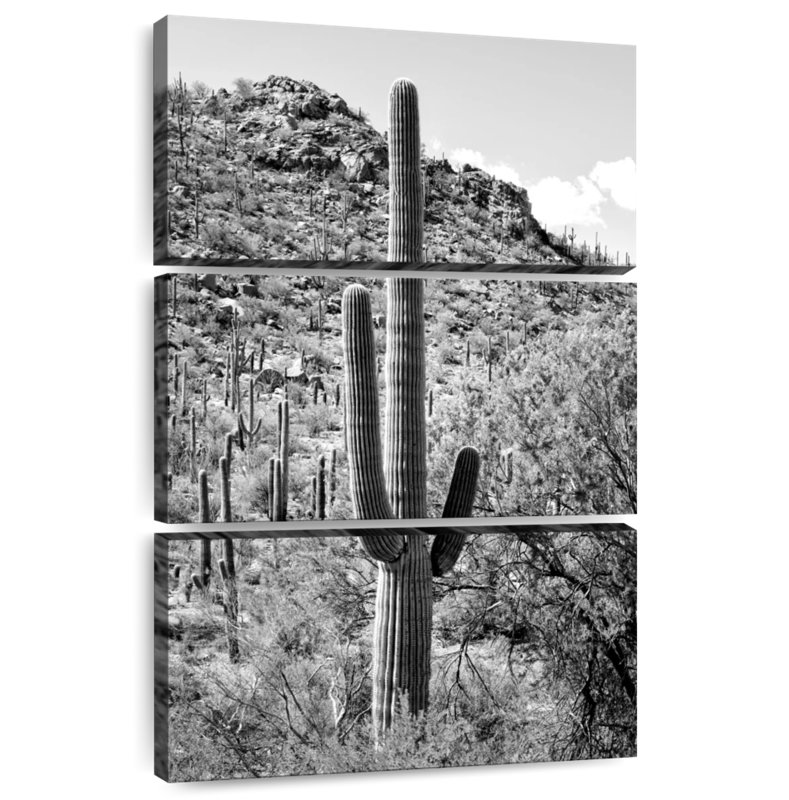 Harnek Black Arizona - Cactus Hill I, 45" H x 28" W