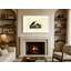 Grand macareux, plaque CCXC III (1834) - art mural sur toile paysage-129980579
