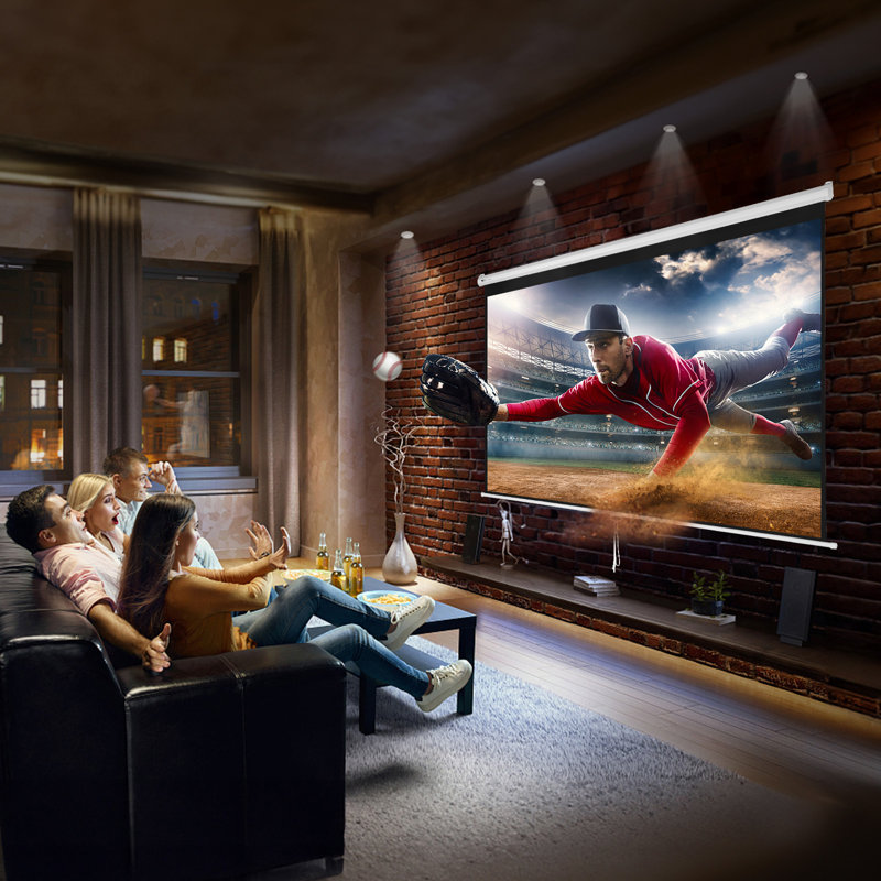 VEVOR 100" White Manual Pull Down Projector Screen