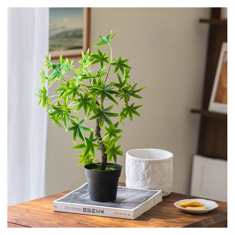 Mini plante verte en pot