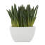 Bartol plante artificielle en pot 8,35 po