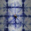«Boxed In Blue» par Parvez Taj, impression-14238339