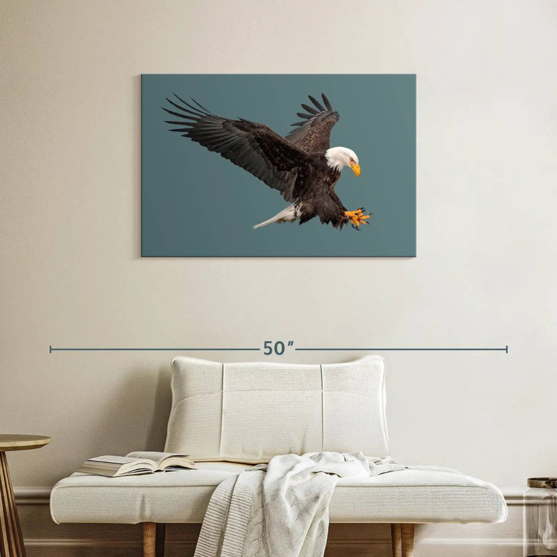 Brampt Predator Bald Eagle, 24" H x 36" W