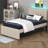 Alphea Upholstered Platform Bed-719718877-714385745