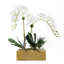 Real Touch White Phalenophsis Orchids Flower Arrangement in Planter