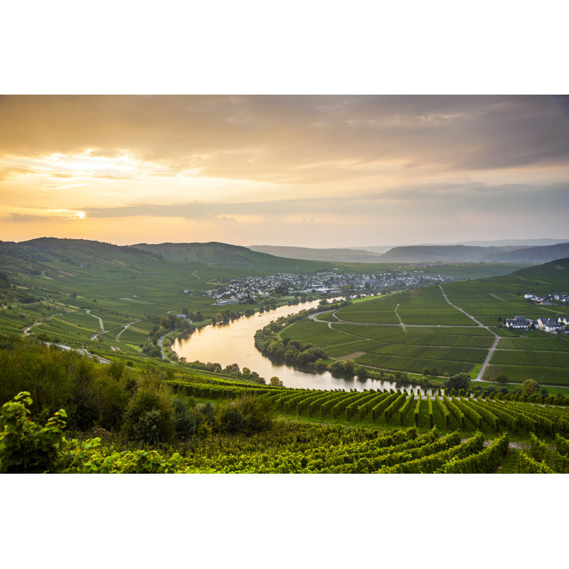 Moselle Sinuosity with Vineyards 1 Piece Wrapped Canvas Wall Art, 81cm H x 122cm W