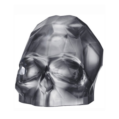 Memento Mori Faceted Skull