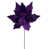 Purple selected