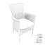 Avignon Resin Weave Garden Chairs-16230599