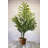 36'' Faux Palm Tree in Basket-1387137384