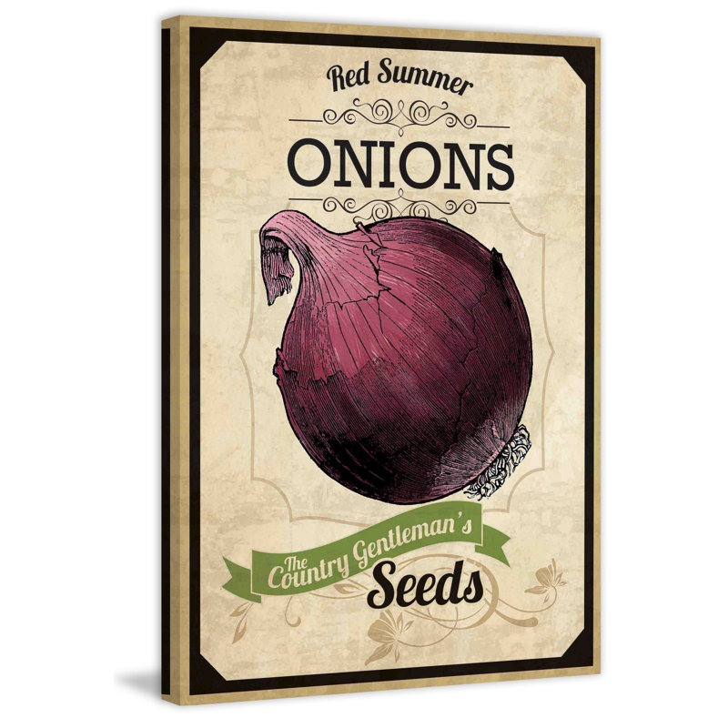 « seed packet oignon », reproduction d’art sur toile tendue, H 18 po x l 12 po