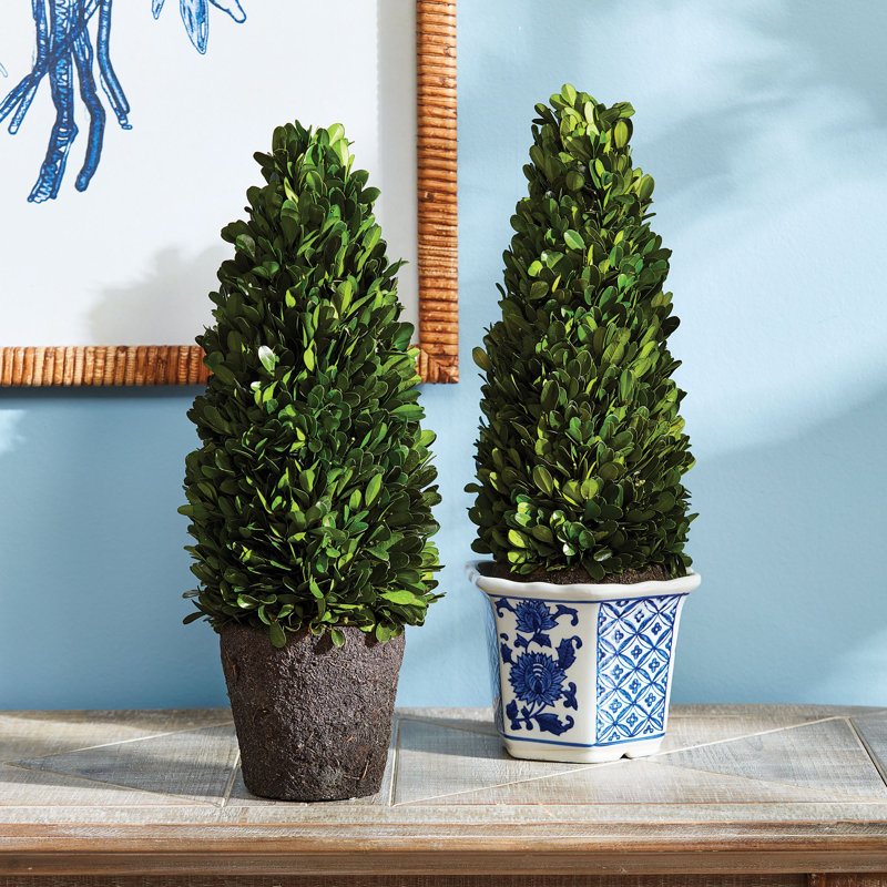 Alby Faux Plant, 16" H x 5" W x 5" D