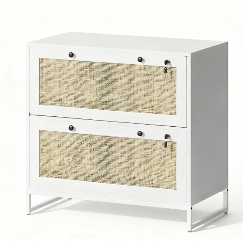 2 Drawer File Cabinet With Adjustable Hanging Bar, Accent Cabinet, White