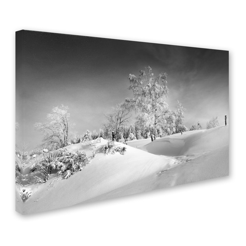 «Dressed For Winter», reproduction de photo sur toile tendue, H 22 po x l 32 po x P 2 po