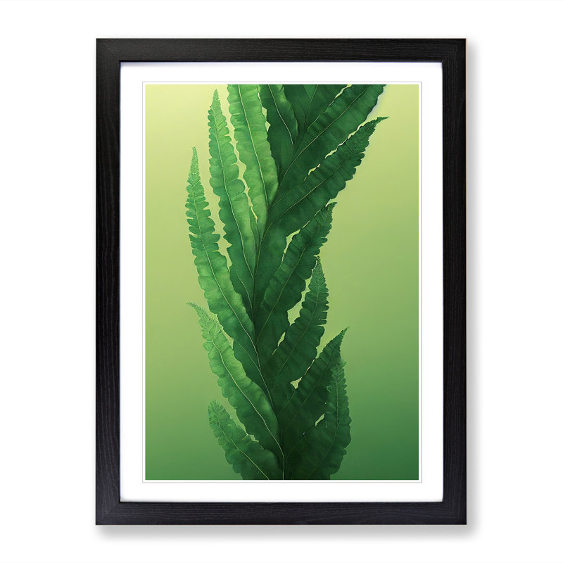 Arbaaz Fern Leaf In Watercolour Vol.1 - Single Picture Frame Print, Black, 64cm H x 46cm W x 2cm D