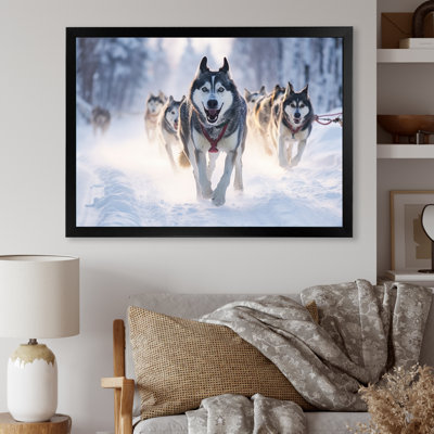 «Alaska Dog Sledding II», reproduction sur toile
