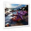 Étoile de mer corail sur la plage, photo 3 - Art mural plage-2035634961-2035634966