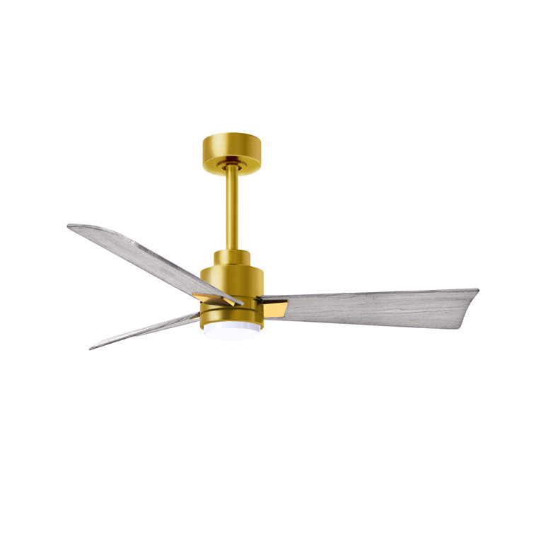 Alessandra - Three Blade Transitional Ceiling Fan -LED