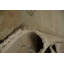 Tapis classique Ziegler 6 x 8 avec motifs de bordure complexes