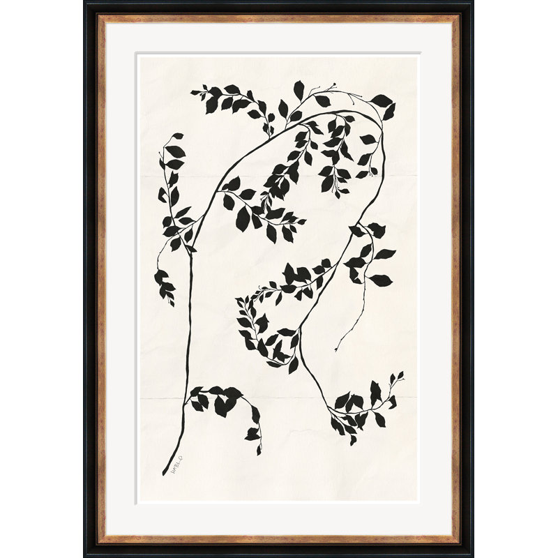 Clematis Vine II