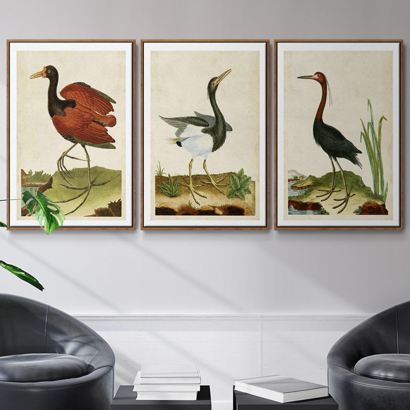 Heron Portrait IV, ensemble de 3 toiles encadrées, Cadre noyer, H 27 po x l 54 po