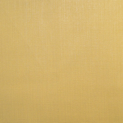 Tissu de colon