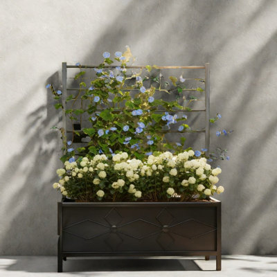 Durable Steel Planters, Large Black Modern Design With Trellis For Outdoor Gardens