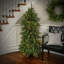 Arbre Norfolk 5 '3m