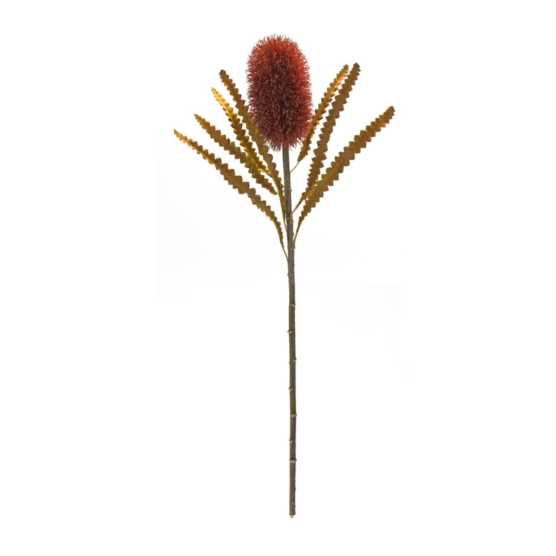 Banksia Steam