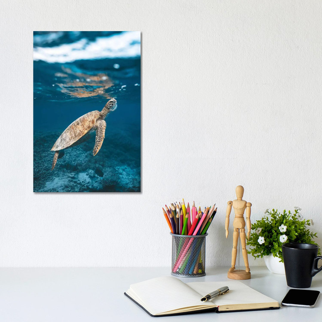 Great Barrier Reef Turtle Underwater by James Vodicka - Wrapped Canvas Gallery-Wrapped Canvas Giclée