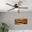 Alvina 44'' Ceiling Fan with LED Lights-765932369
