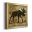 Country Moose - Reproduction d'art sur toile encadrée-192577437-192577436