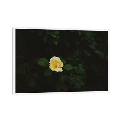 Washington Bloom 1 Piece Wall Art on Canvas