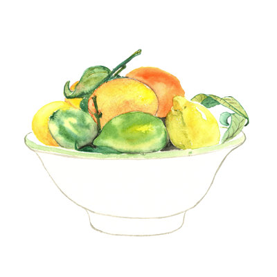 " Bowl Of Citrus " Painting Print