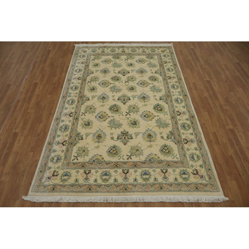 Sophisticated Transitional Area Rug 6x10