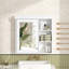 Bathroom Medicine Cabinet with Mirror