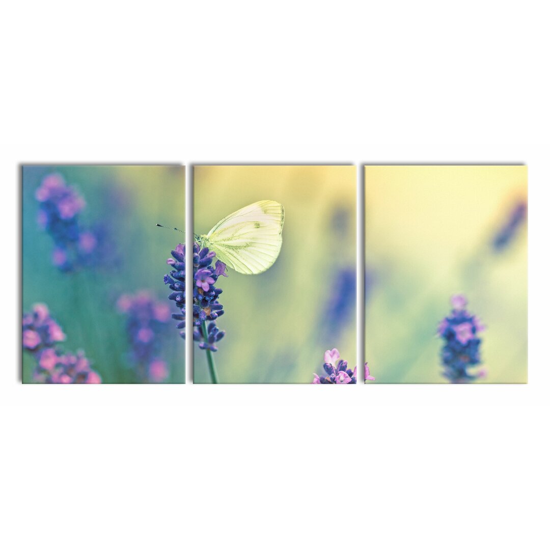 3-tlg. Leinwandbilder-Set Schmetterling auf Lavendel