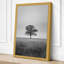 Solitary Tree Scandinavian - Wrapped Canvas-931648144-931648156