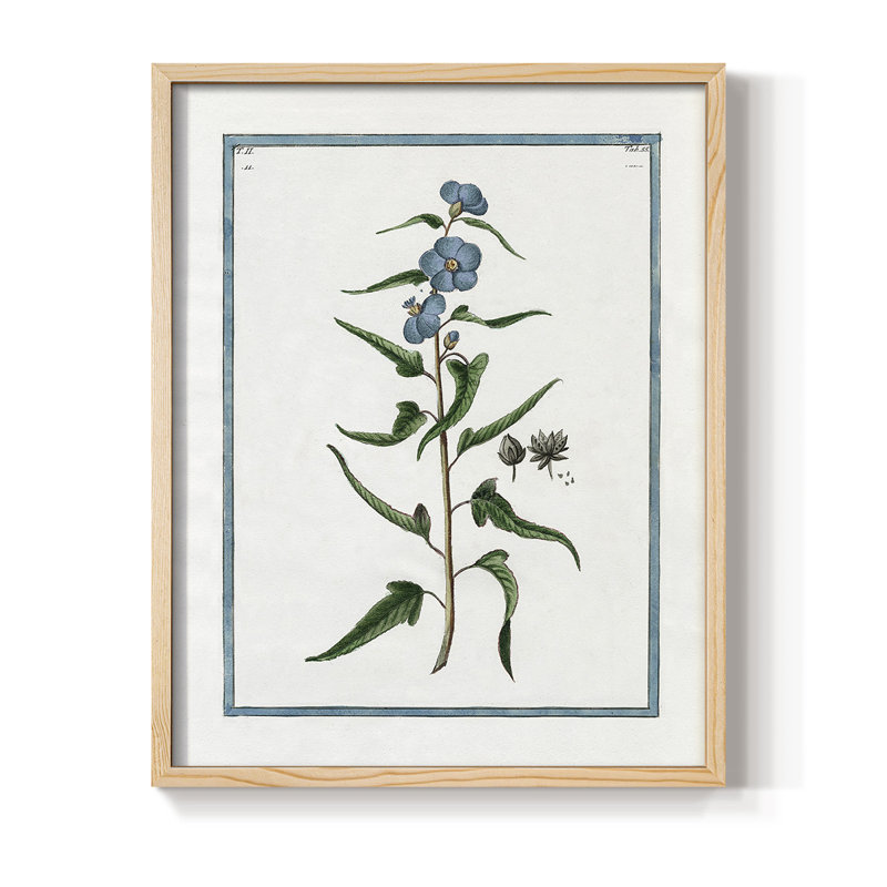 «Botanical I», reproduction encadrée - bois massif, Naturel, H 11 po x l 9 po