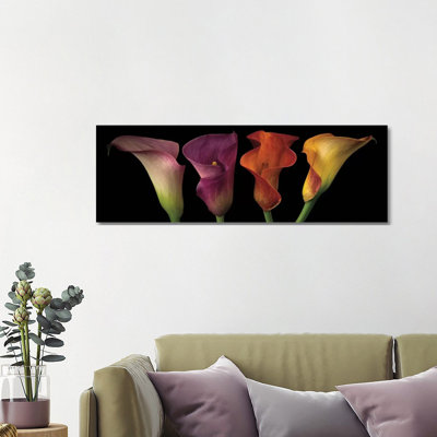 Jewel Calla Lilies by Assaf Frank - Panoramic Gallery-Wrapped Canvas Giclée on Canvas