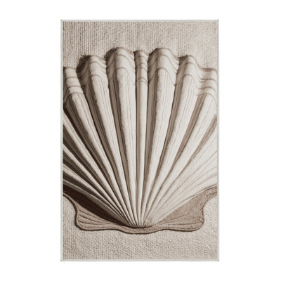 Washable Giant Clam Feature Coastal Area Rug