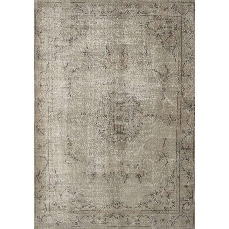Arendtsville Oriental Indoor Rug, Rectangle 5' x 7'