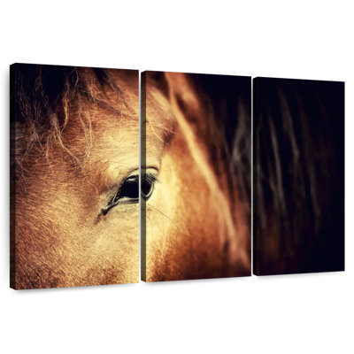 Arabian Bay Horse