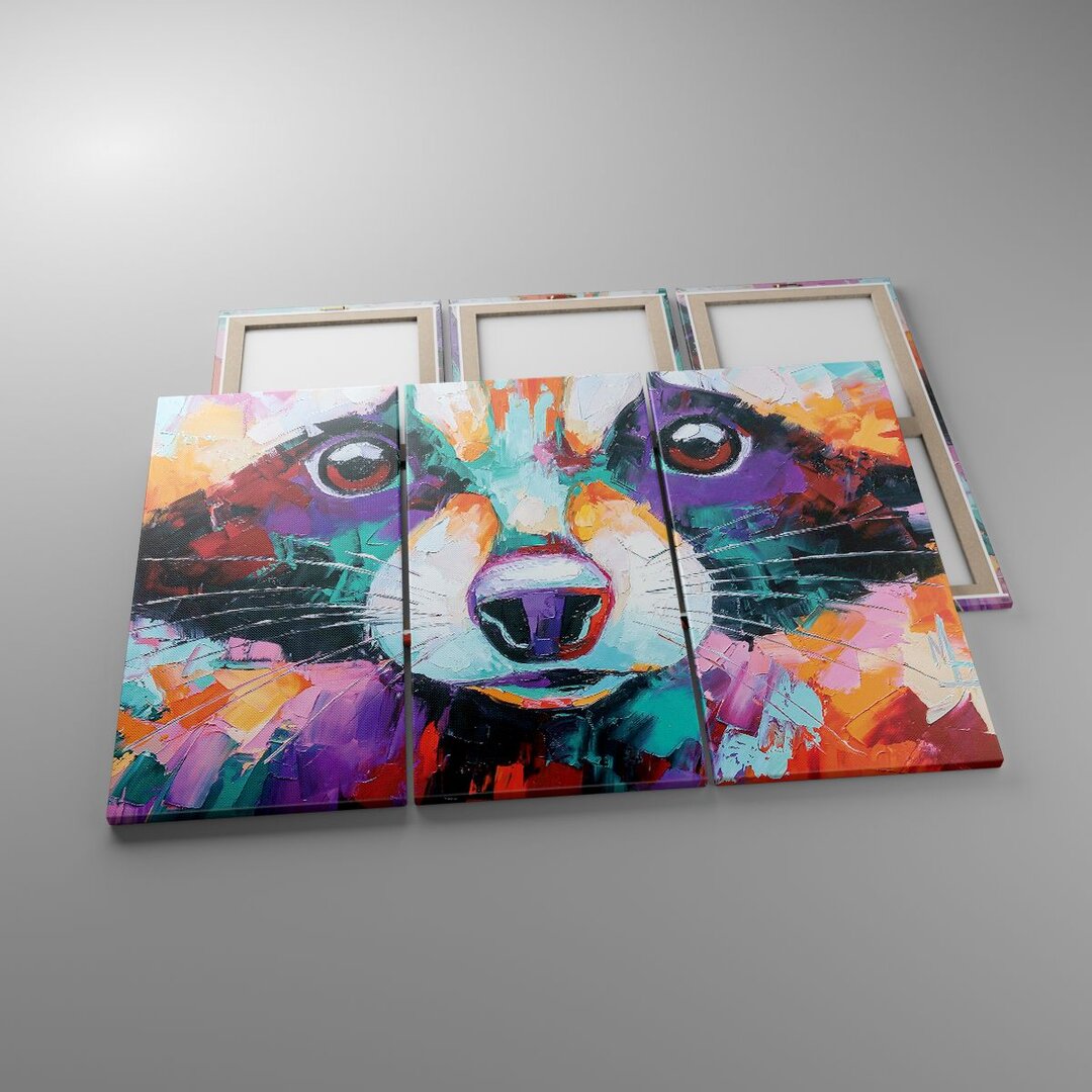 3-tlg. Leinwandbilder-Set Raccoon Colourful Oil